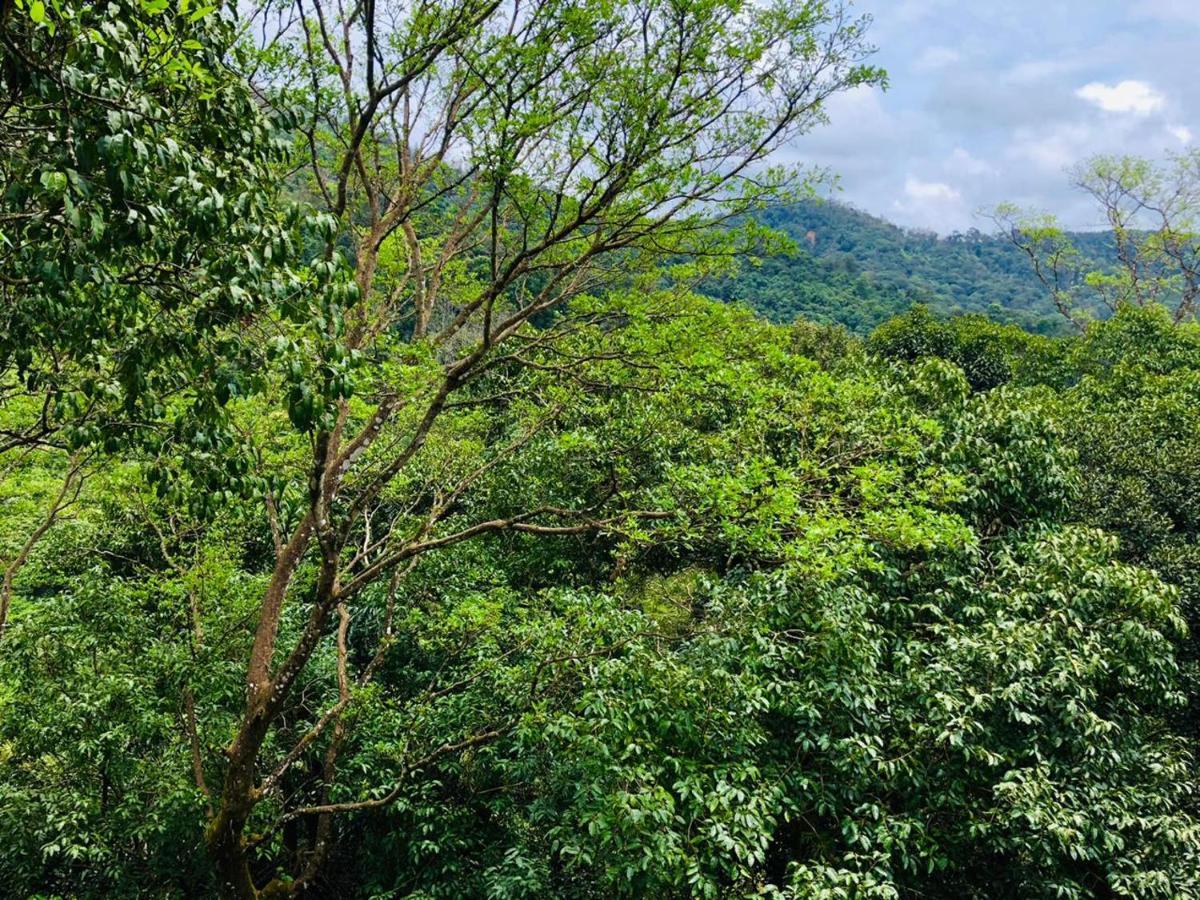 Coorg Wilderness Resort & Spa Madikeri Exterior photo